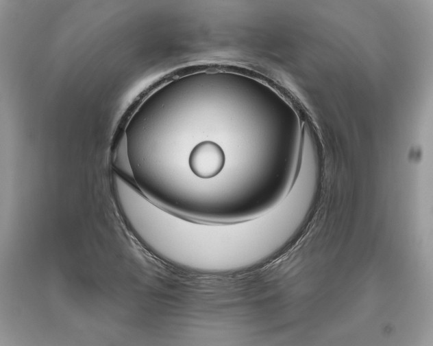 X0000093511320200710261148
