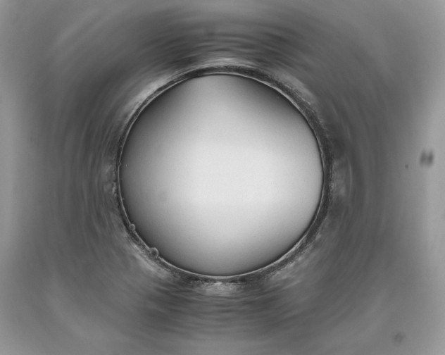 X0000093511321200710261148