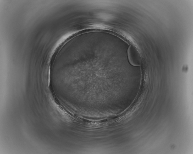 X0000093511323200710261148