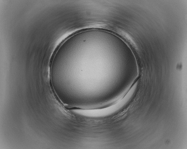 X0000093511324200710261148