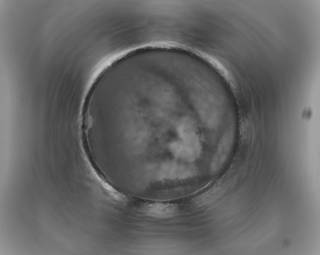 X0000093511327200710261148
