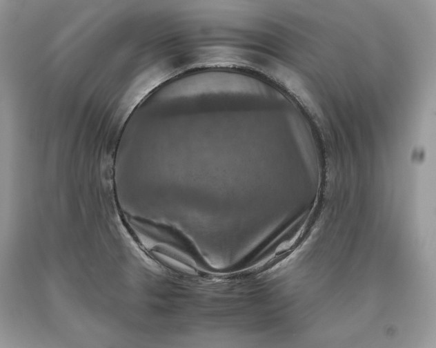 X0000093511329200710261148