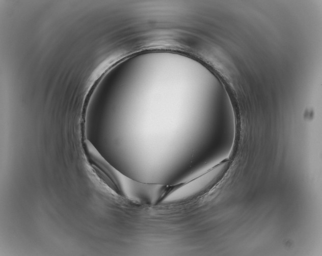 X0000093511330200710261148