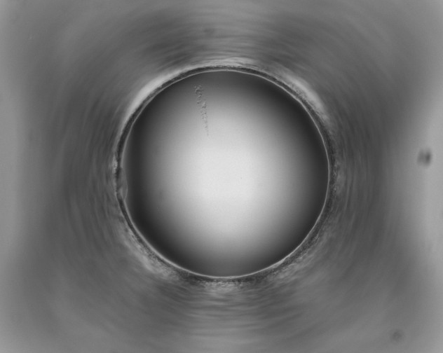 X0000093511332200710261149