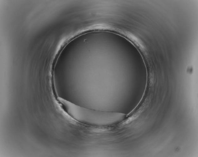 X0000093511334200710261149
