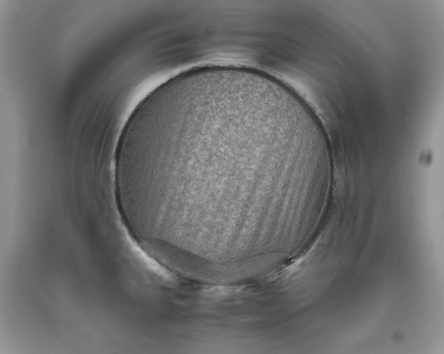 X0000093511335200710261149