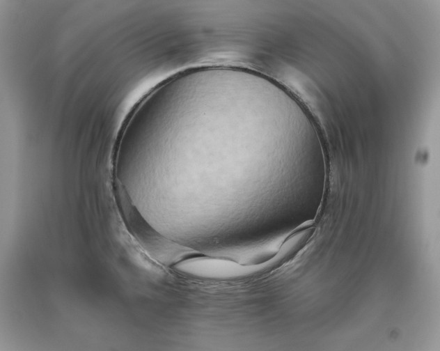 X0000093511336200710261149