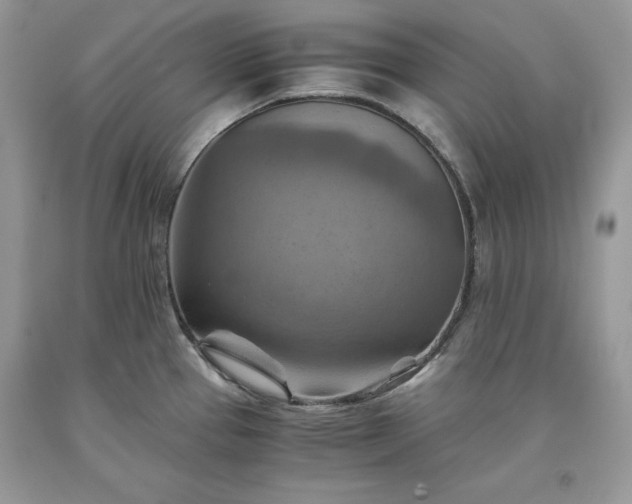 X0000093511337200710261149