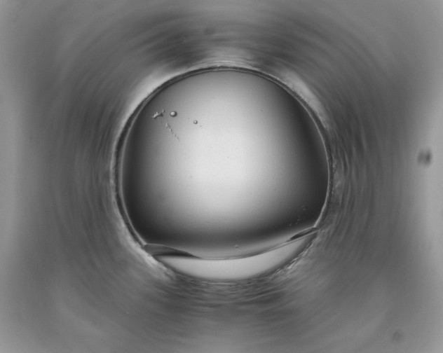 X0000093511339200710261149