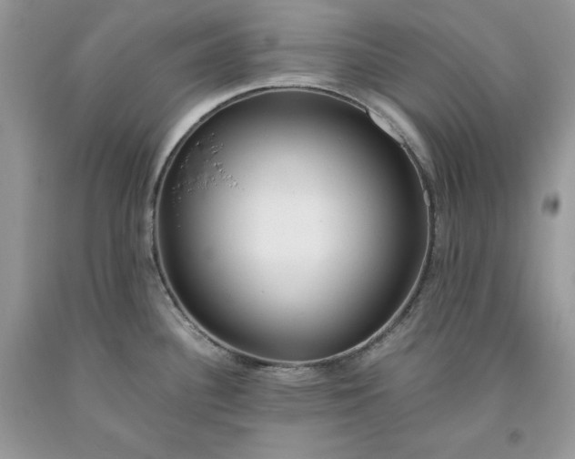 X0000093511340200710261149