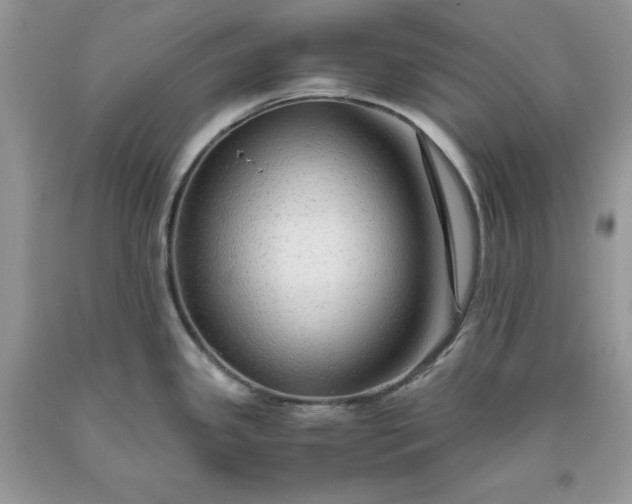 X0000093511341200710261149