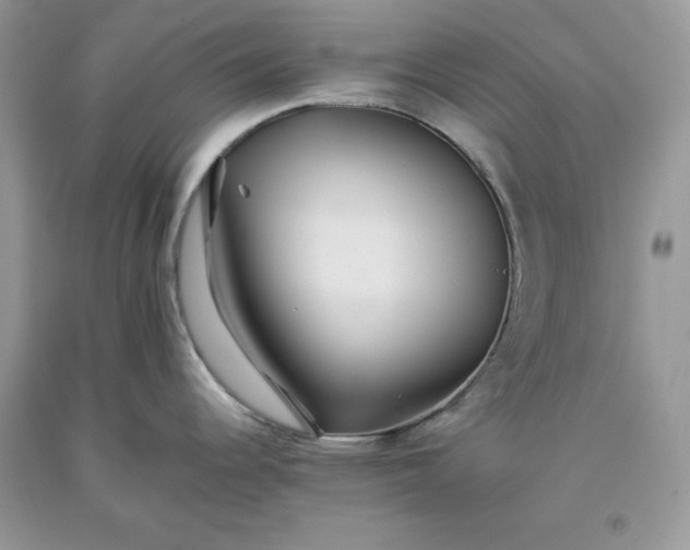 X0000093511344200710261149