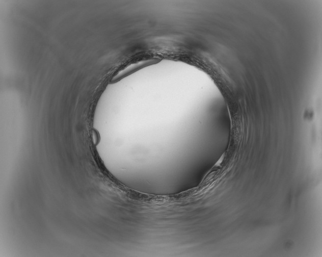 X0000093511345200710261148
