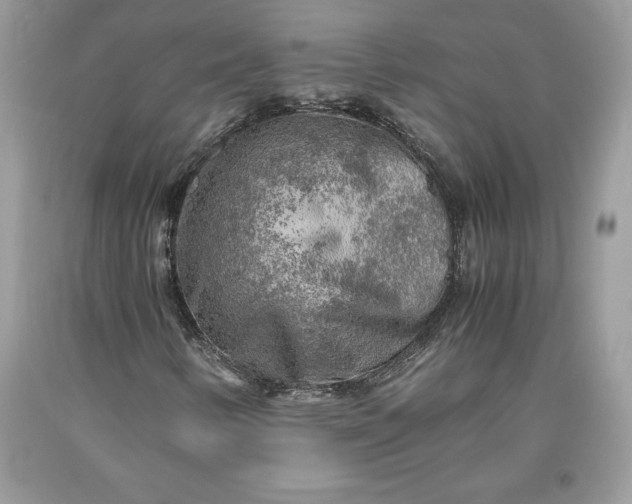X0000093511346200710261148