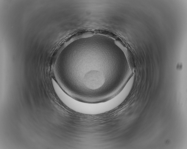 X0000093511348200710261148