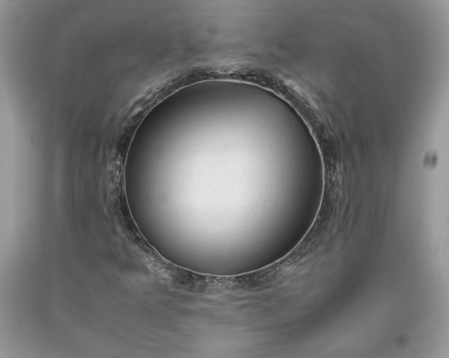 X0000093511349200710261148
