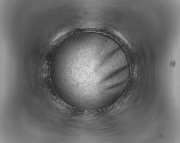 X0000093511350200710261148