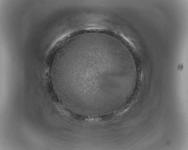 X0000093511351200710261148