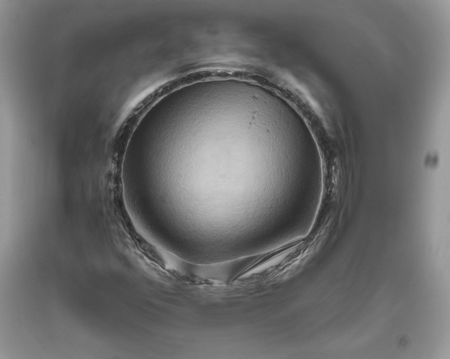 X0000093511352200710261148