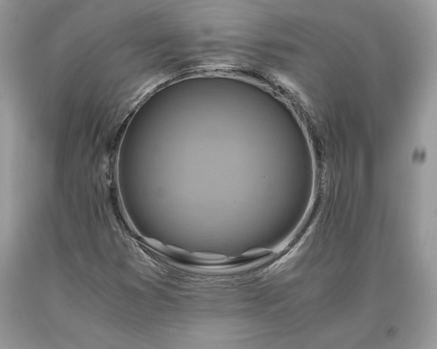 X0000093511353200710261148