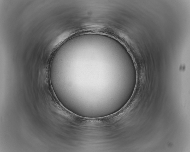 X0000093511354200710261148