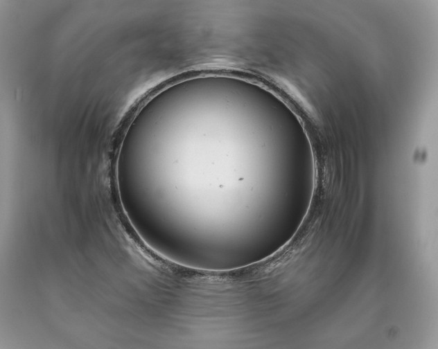 X0000093511356200710261148