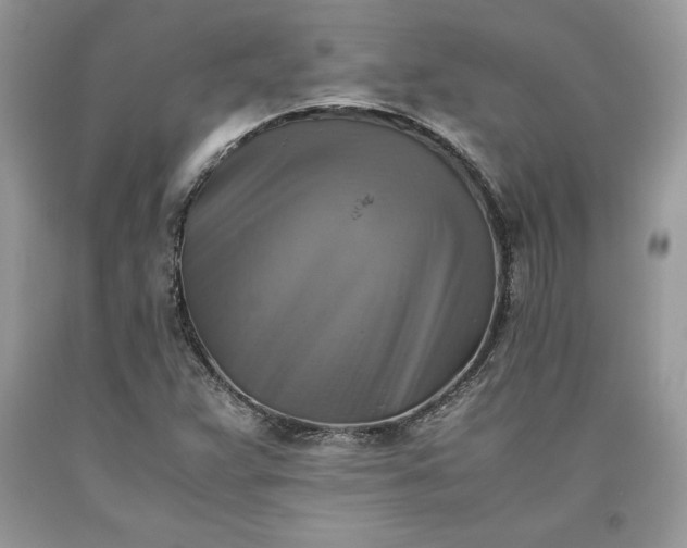 X0000093511359200710261148