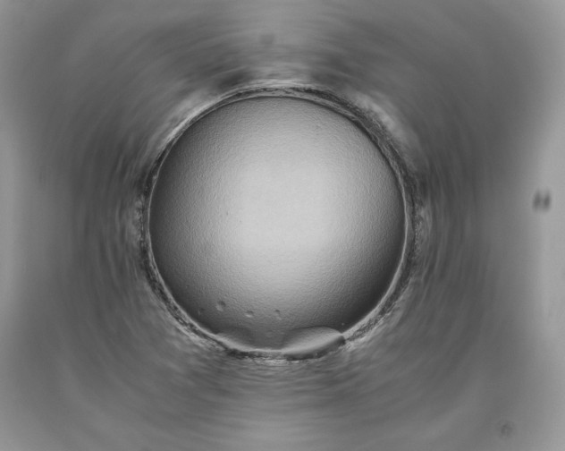 X0000093511361200710261148