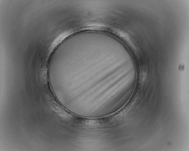 X0000093511362200710261148