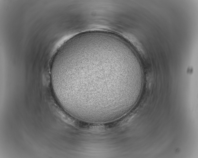 X0000093511363200710261148
