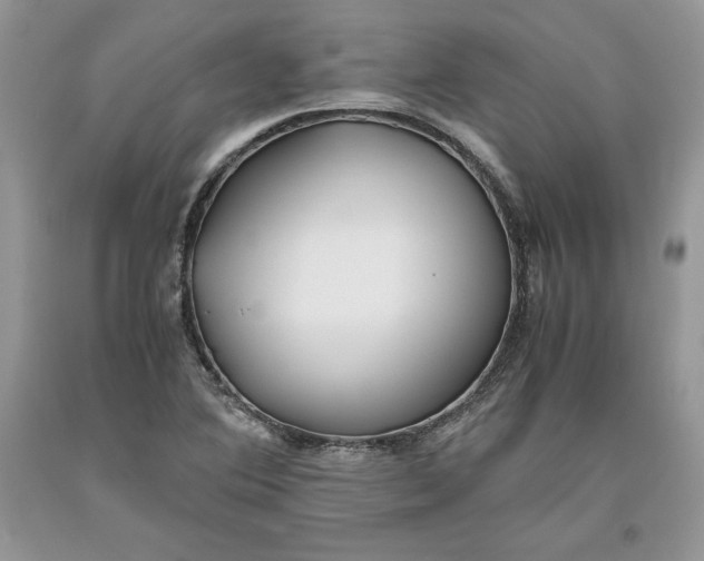 X0000093511364200710261148