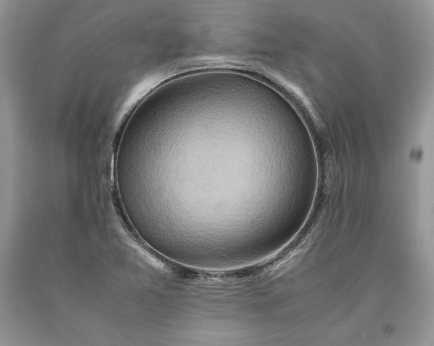 X0000093511365200710261148