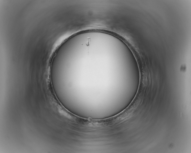 X0000093511366200710261148