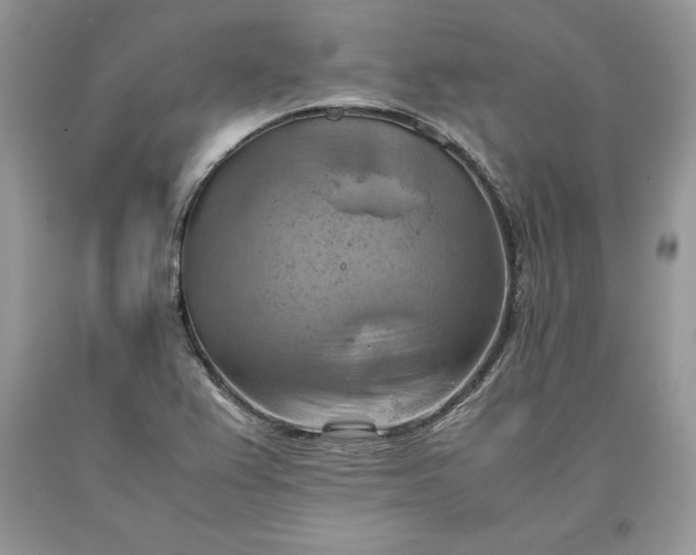 X0000093511367200710261148
