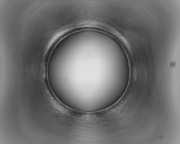 X0000093511368200710261148