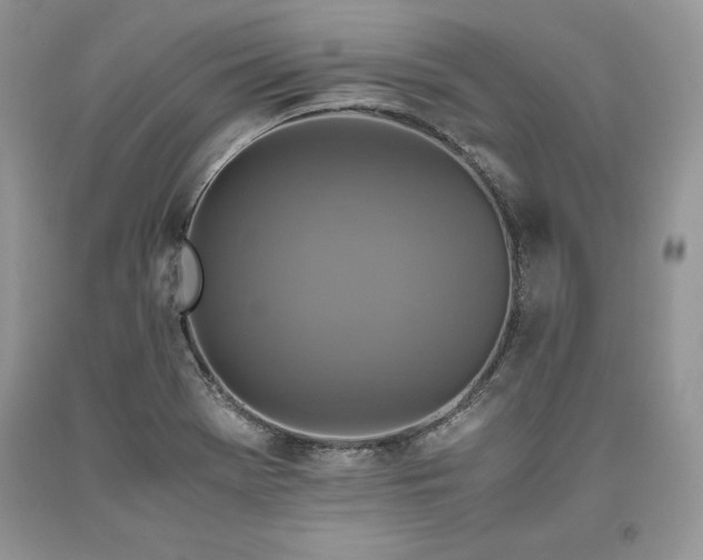 X0000093511369200710261148