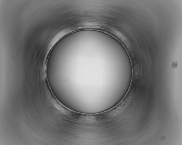 X0000093511370200710261148