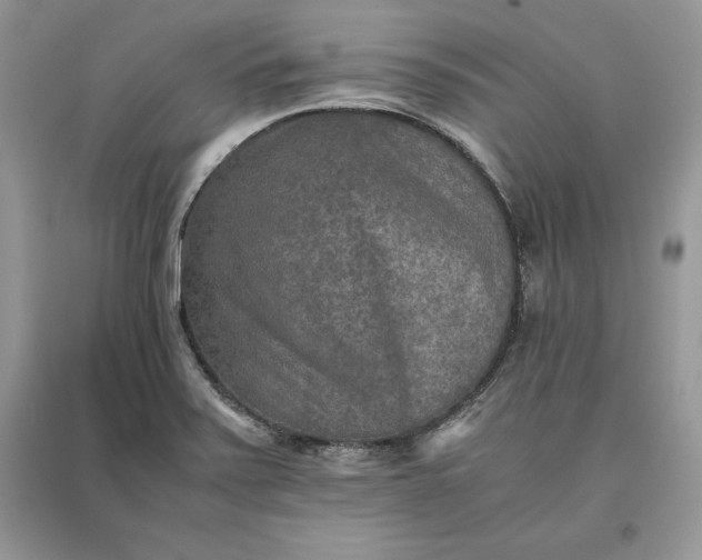 X0000093511371200710261148