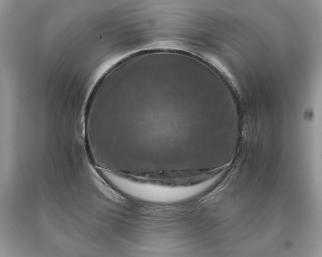 X0000093511372200710261148