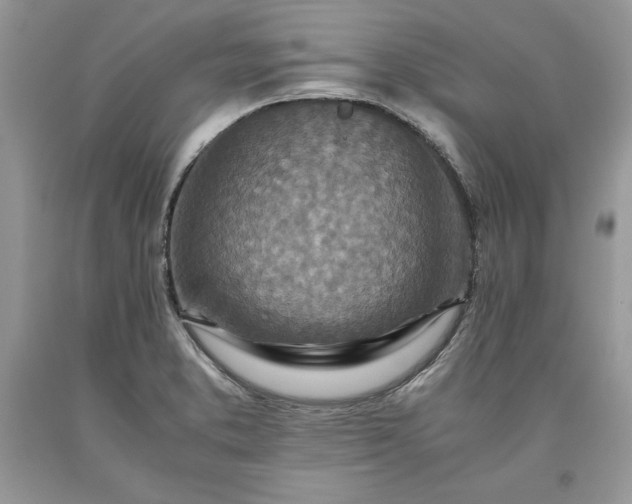 X0000093511373200710261148