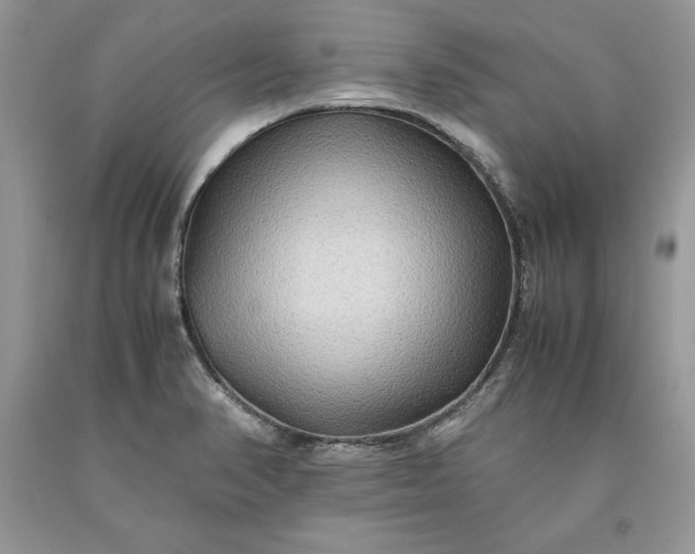 X0000093511374200710261148