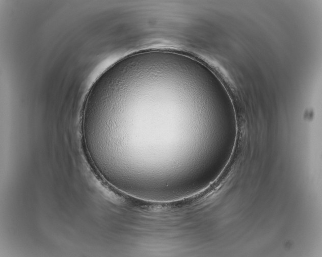 X0000093511375200710261148