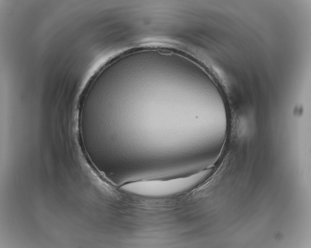X0000093511376200710261148