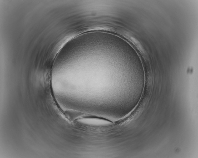 X0000093511377200710261148