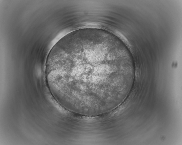X0000093511378200710261148