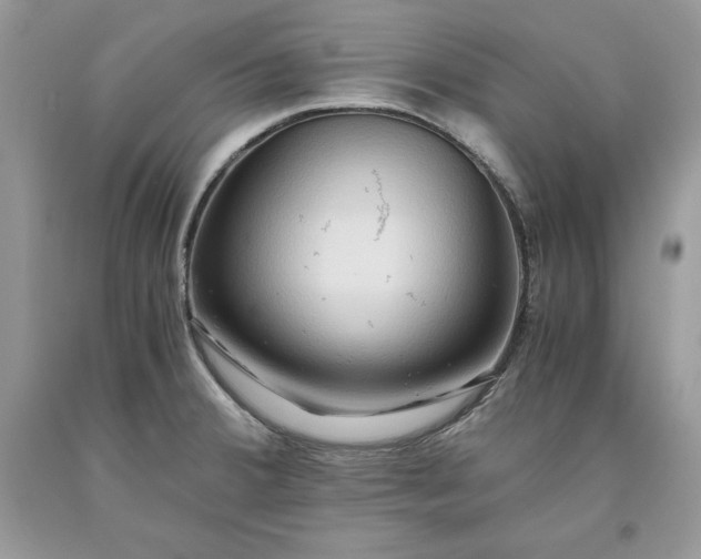 X0000093511380200710261148