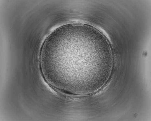 X0000093511381200710261148