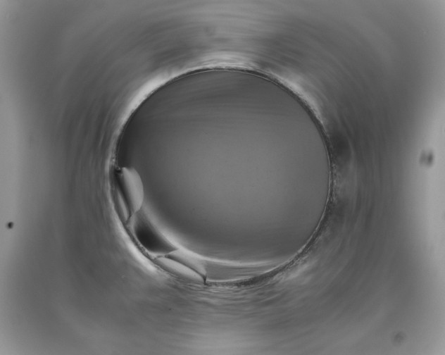 X0000093511383200710261147
