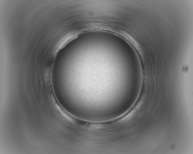 X0000093511385200710261147