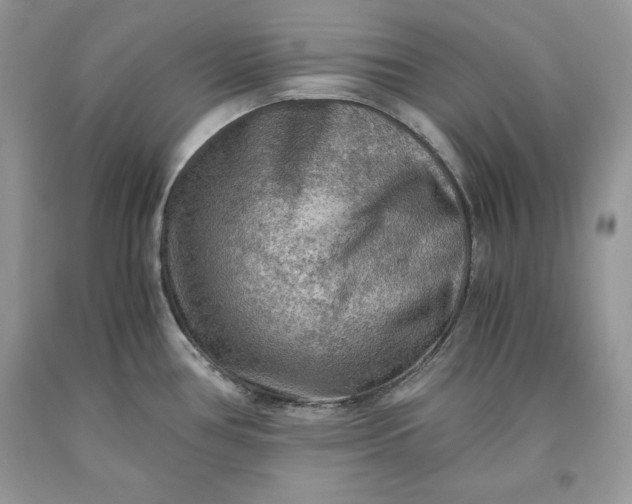 X0000093511386200710261147